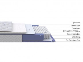 PROxSON Матрас Active Duo S/F (Ткань Трикотаж Эко) 90x195 в Губкинском - gubkinskiy.mebel24.online | фото 2