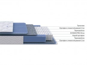 PROxSON Матрас Active M Roll (Ткань Трикотаж Эко) 90x190 в Губкинском - gubkinskiy.mebel24.online | фото 2