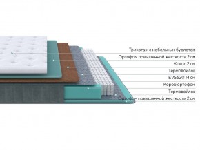 PROxSON Матрас Grace Firm (Трикотаж Prestige Latte) 120x200 в Губкинском - gubkinskiy.mebel24.online | фото 2