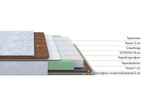 PROxSON Матрас Green Duo M/F (Tricotage Dream) 140x195 в Губкинском - gubkinskiy.mebel24.online | фото 2