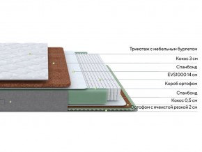 PROxSON Матрас Lux Duo M/F (Non-Stress) 120x200 в Губкинском - gubkinskiy.mebel24.online | фото 3