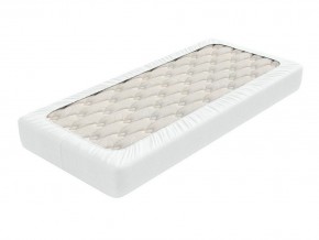 PROxSON Защитный чехол Aqua Save Light S (Ткань влагостойкая Tencel Jersey) 160x190 в Губкинском - gubkinskiy.mebel24.online | фото 2