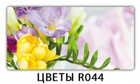 Раздвижной СТ Бриз орхидея R041 Доска D111 в Губкинском - gubkinskiy.mebel24.online | фото 16