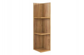 РИЧ Полка навесная 2 в Губкинском - gubkinskiy.mebel24.online | фото 4