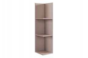 РИЧ Полка навесная 2 (кашемир) в Губкинском - gubkinskiy.mebel24.online | фото 4