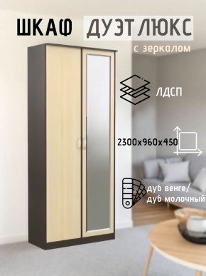 Шкаф 2-х створчатый Дуэт Люкс с зеркалом в Губкинском - gubkinskiy.mebel24.online | фото