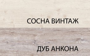 Шкаф 2D1S, MONAKO, цвет Сосна винтаж/дуб анкона в Губкинском - gubkinskiy.mebel24.online | фото