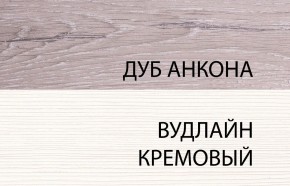 Шкаф 2DG, OLIVIA, цвет вудлайн крем/дуб анкона в Губкинском - gubkinskiy.mebel24.online | фото 3