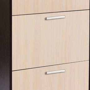 Шкаф для обуви УК-4 в Губкинском - gubkinskiy.mebel24.online | фото 2