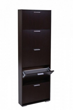 Шкаф для обуви УК-5 10000130 в Губкинском - gubkinskiy.mebel24.online | фото
