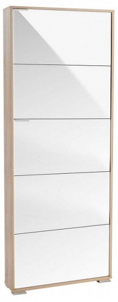 Шкаф для обуви Viva-5LW в Губкинском - gubkinskiy.mebel24.online | фото
