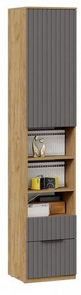 Шкаф комбинированный Хилтон Исп. 2 в Губкинском - gubkinskiy.mebel24.online | фото 4