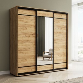 Шкаф-купе Акцент-Лайт ДЗ 2400-600 в Губкинском - gubkinskiy.mebel24.online | фото 4