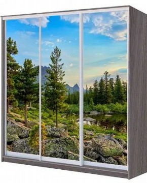 Шкаф-купе ХИТ 22-20/2-777 ПРИРОДА в Губкинском - gubkinskiy.mebel24.online | фото