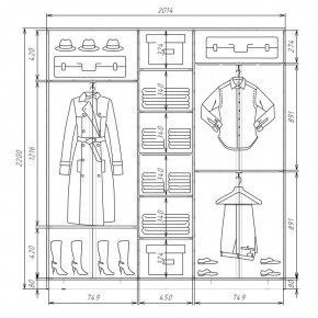 Шкаф-купе ХИТ 22-4-20-555 (420) в Губкинском - gubkinskiy.mebel24.online | фото 2