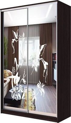Шкаф-купе ХИТ 23-4-12/2-66 КОЛИБРИ в Губкинском - gubkinskiy.mebel24.online | фото