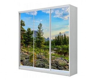 Шкаф-купе ХИТ 23-4-20-777 (420) в Губкинском - gubkinskiy.mebel24.online | фото