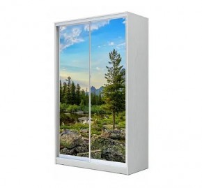 Шкаф-купе ХИТ 24-12/2-77 (620) в Губкинском - gubkinskiy.mebel24.online | фото