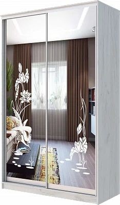 Шкаф-купе ХИТ 24-14-66 ЦАПЛИ в Губкинском - gubkinskiy.mebel24.online | фото