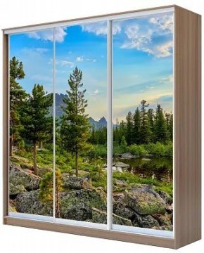Шкаф-купе ХИТ 24-20/2-777 ПРИРОДА в Губкинском - gubkinskiy.mebel24.online | фото