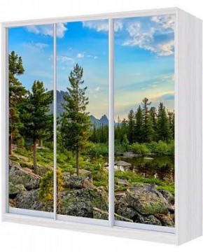 Шкаф-купе ХИТ 24-20-777 ПРИРОДА в Губкинском - gubkinskiy.mebel24.online | фото
