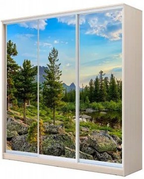 Шкаф-купе ХИТ 24-4-20-777 ПРИРОДА в Губкинском - gubkinskiy.mebel24.online | фото