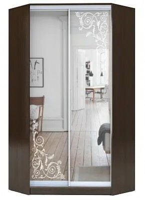 Шкаф-купе ХИТ-У-23-4-66 ОРНАМЕНТ в Губкинском - gubkinskiy.mebel24.online | фото