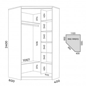 Шкаф-купе ХИТ-У-R-24-64-88 в Губкинском - gubkinskiy.mebel24.online | фото 3