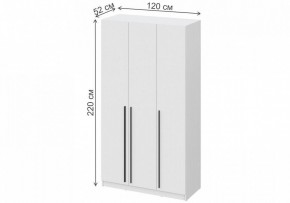Шкаф платяной Бирма ШК-1200 в Губкинском - gubkinskiy.mebel24.online | фото 4