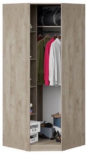 Шкаф платяной Эмбер СМ-348.07.007 L в Губкинском - gubkinskiy.mebel24.online | фото 4