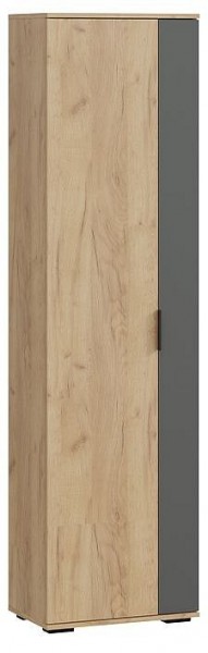 Шкаф платяной Эвита в Губкинском - gubkinskiy.mebel24.online | фото