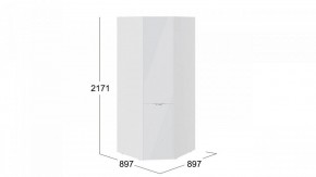 Шкаф платяной Глосс СМ-319.07.311 в Губкинском - gubkinskiy.mebel24.online | фото 3