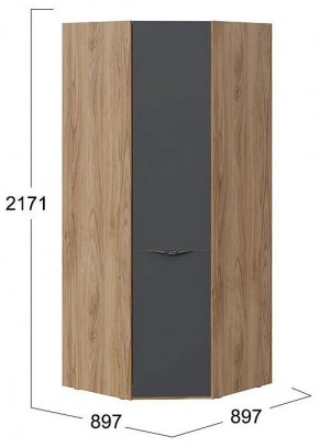 Шкаф платяной Глосс СМ-319.07.311 в Губкинском - gubkinskiy.mebel24.online | фото 4