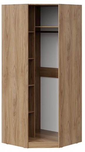 Шкаф платяной Глосс СМ-319.07.312 в Губкинском - gubkinskiy.mebel24.online | фото 2