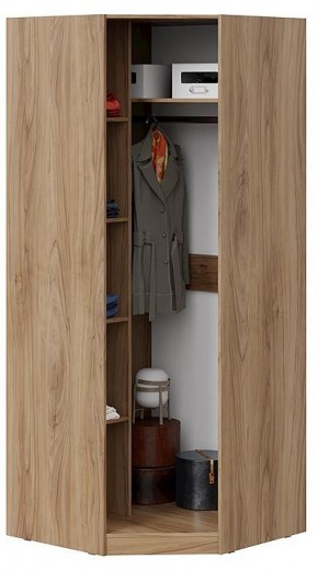 Шкаф платяной Глосс СМ-319.07.312 в Губкинском - gubkinskiy.mebel24.online | фото 3