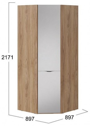 Шкаф платяной Глосс СМ-319.07.312 в Губкинском - gubkinskiy.mebel24.online | фото 4
