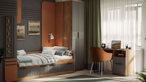 Шкаф платяной Хилтон Исп. 2 в Губкинском - gubkinskiy.mebel24.online | фото 5