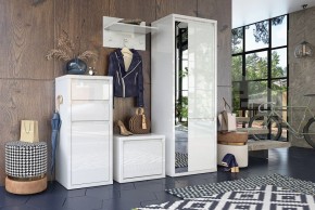 Шкаф платяной Норден СТЛ.413.01 в Губкинском - gubkinskiy.mebel24.online | фото 4