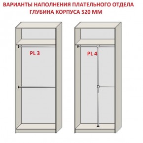 Шкаф распашной серия «ЗЕВС» (PL3/С1/PL2) в Губкинском - gubkinskiy.mebel24.online | фото 10