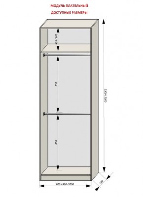 Шкаф распашной серия «ЗЕВС» (PL3/С1/PL2) в Губкинском - gubkinskiy.mebel24.online | фото 12