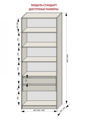 Шкаф распашной серия «ЗЕВС» (PL3/С1/PL2) в Губкинском - gubkinskiy.mebel24.online | фото 13