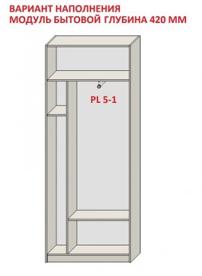 Шкаф распашной серия «ЗЕВС» (PL3/С1/PL2) в Губкинском - gubkinskiy.mebel24.online | фото 4