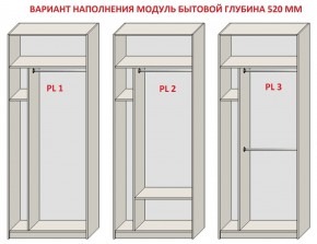 Шкаф распашной серия «ЗЕВС» (PL3/С1/PL2) в Губкинском - gubkinskiy.mebel24.online | фото 5