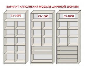 Шкаф распашной серия «ЗЕВС» (PL3/С1/PL2) в Губкинском - gubkinskiy.mebel24.online | фото 7