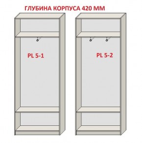 Шкаф распашной серия «ЗЕВС» (PL3/С1/PL2) в Губкинском - gubkinskiy.mebel24.online | фото 8