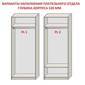 Шкаф распашной серия «ЗЕВС» (PL3/С1/PL2) в Губкинском - gubkinskiy.mebel24.online | фото 9