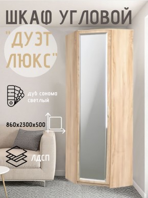 Шкаф угловой Дуэт Люкс с зеркалом в Губкинском - gubkinskiy.mebel24.online | фото 1
