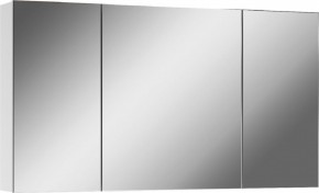 Шкаф-зеркало Мечта 100 АЙСБЕРГ (DM2322HZ) в Губкинском - gubkinskiy.mebel24.online | фото 1
