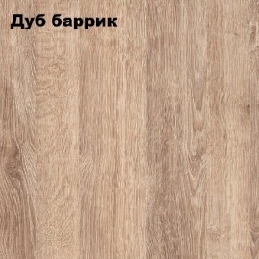 ГРАФ Стеллаж (дуб баррик) в Губкинском - gubkinskiy.mebel24.online | фото 2