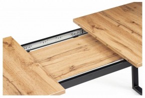 Стол обеденный Лота Лофт в Губкинском - gubkinskiy.mebel24.online | фото 9